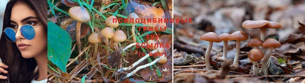 синтетический гашиш Алексин